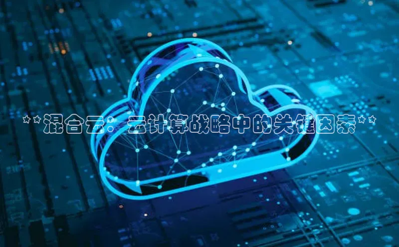 金年会电子游戏入口京东**混合云：云计算战略中的关键因素**