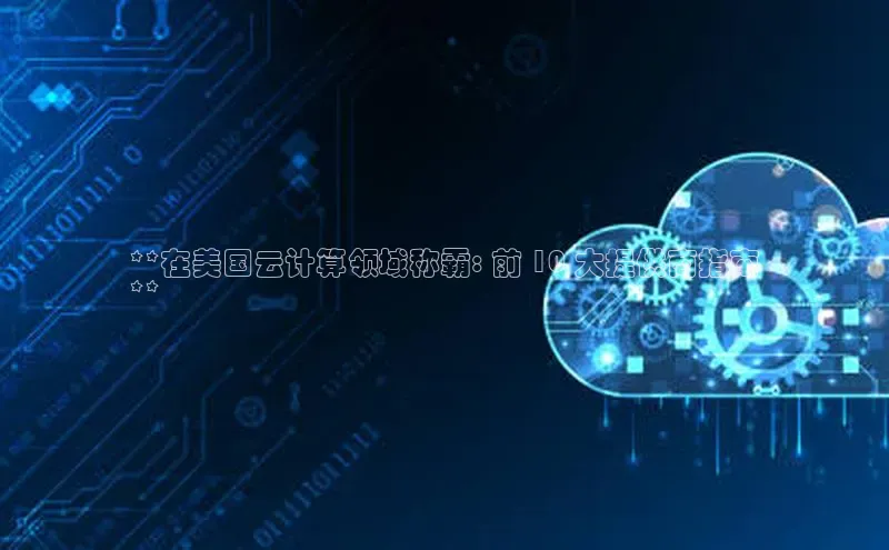 金年会金字招牌6766猫眼**在美国云计算领域称霸: 前 10 大提供商指南
**