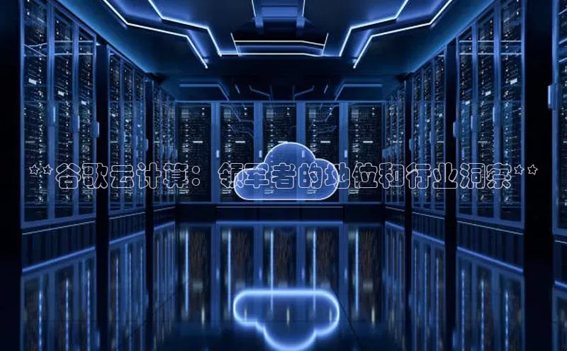 金年会体育一径科技**谷歌云计算：领军者的地位和行业洞察**